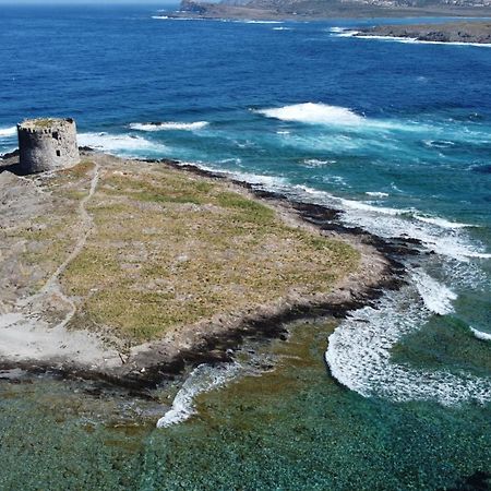 Апартаменты Il Faro La Ciaccia Валледория Экстерьер фото